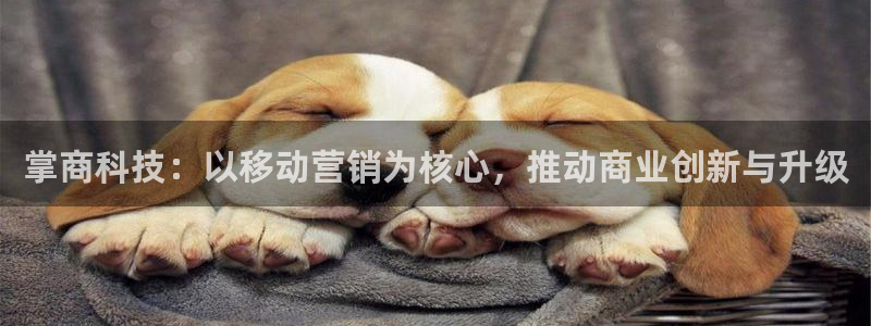 金年会官方网站入口网址