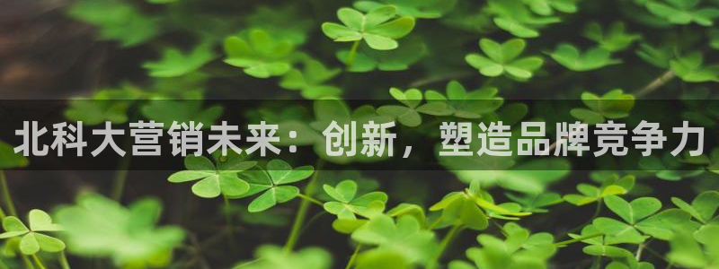 金年会官方网站入口登录网址