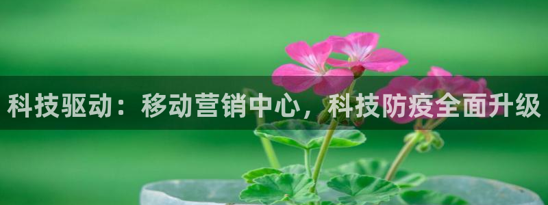 金年会电子游戏