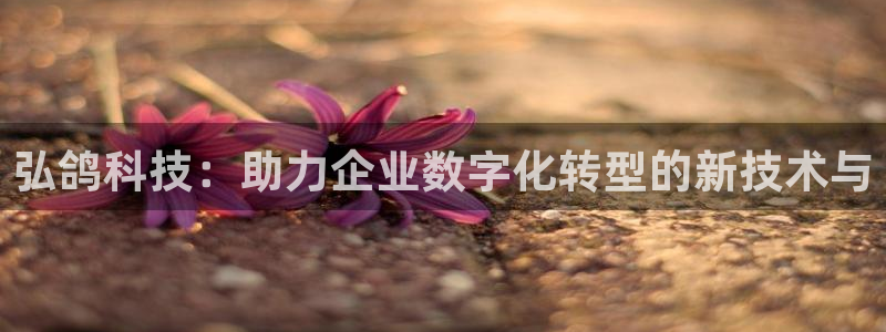 金年会电子游戏app官方网站