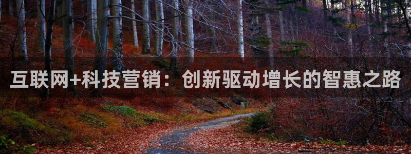 金年会体育app平台怎么样可靠吗