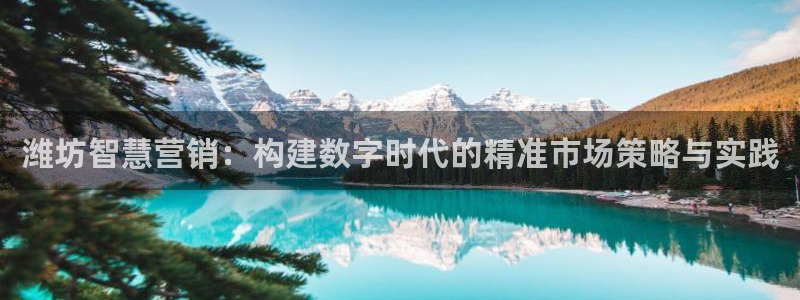 金年会app官方网站入口